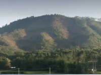 贵为易学奇葩的中天易经论民国著名的社会活动家褚辅成的命例