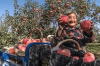 快递已过万重山