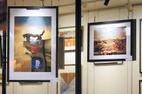 打卡主题摄影展 近百幅摄影作品定格中轴印象