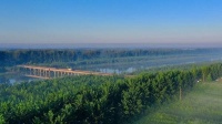 宿迁泗阳：雾锁长河 秋意渐浓