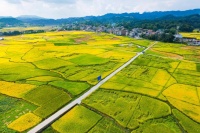 贵州天柱：“丰”景如画