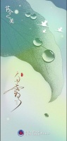 节令之美·白露|今日白露至，日后秋渐深
