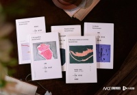 2022年诺贝尔文学奖得主，安妮·埃尔诺中文版作品集推出