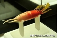 获得权威认证，彰显玉雕技艺——玉雕师证书