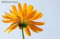 50岁后要懂得：不要跟“有血缘”的兄弟姐妹走得太近