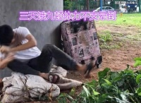 男子不上班，3天饿9顿晕倒在桥洞，知情人：父母给他打款7次了