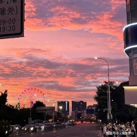 这不叫理想，叫幻想