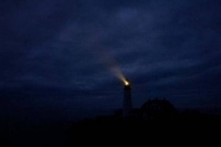 黑夜背后的绝望：夜空不再是安全