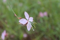 人过六十，不管兄弟姐妹关系多好，都不能轻易亮出这3张底牌