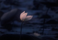 《少年读西游》：关于孙悟空的名字由来与深意