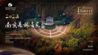 中秋国庆双节同庆，2023南京森林音乐会归来