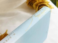 文学经典《金蔷薇》：指引几代作家走上创作之路