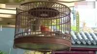 李光复谈自家四合院：一共三百六十平十八间房！