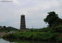 若是，“兄弟姐妹”对你有三种习惯，对他付出再多都是浪费