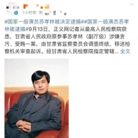 65岁国家一级演员被逮捕，涉及数十条罪名，都是为了钱和“色”