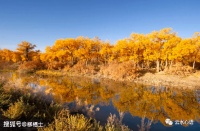 杜甫拄杖散步，吟诵了一首《秋野》，不慕荣华，自得其乐