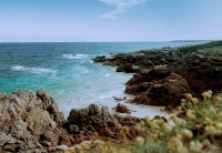 最高级的活法：不多言，不多欲，不多思