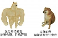 我决定不再为了任何人假装外向