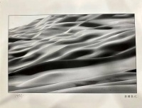 摄影家陈大志水墨摄影展在重庆开展