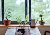 不管你多穷，都要有骨气，拒绝以下几种“好处”