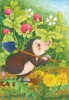 来自柳林河畔的幻想