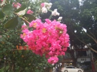 景致记录：徐霞客病卧云南晋宁，唐元鹤约众朋友，早晚前来探望