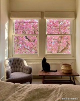 你比你想象的还要好