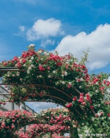 时间会解决大部分问题