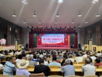 阜阳市颍东区：“红剧场”首场文艺汇演走进插花镇