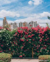 拒绝读书当然是一种愚蠢，但是因为读了书而滋生出骄傲与傲慢是一种更大的愚蠢