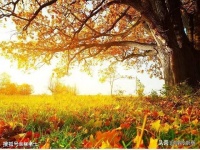 【古诗词鉴赏】宋代词人刘辰翁《西江月 •新秋写兴》词赏析