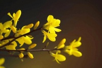 人活着，看开一些吧！（句句在理）