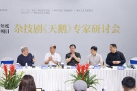 杂技剧《天鹅》专家研讨会在穗举行！名家共议当代杂技创新