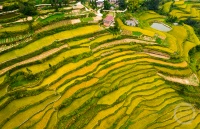 “秋韵”（149） | 上游主题摄影征稿作品展——叶娟作品