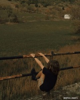 改变，不是去听懂或是领悟到什么道理，而是去培养自己某种新的意识