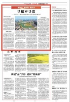 “寻根不是寻常事！”写在第十一届中原（固始）根亲文化节即将开幕之际