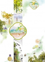 一湖风光好 十里桂花香（一朵花读懂一座城）