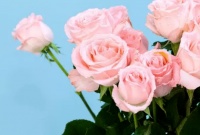 想要放下不爱你的人，最好的方式是这5个字