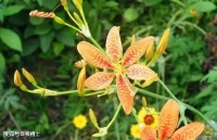 【高考备考】 考教结合之古代诗歌比较鉴赏阅读及一组模拟训练（含答案解析）