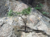 游德福：坚韧不拔促事成