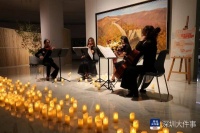 将神、情、意、趣融为一体，美术馆之夜演绎弦乐四重奏