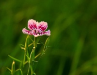 如果你在以下三件事上很糊涂，说明要走衰运了