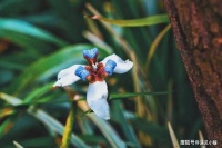 2023年雨果奖即将揭晓，但是我更想和你聊聊《三体》这本书