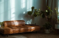 确诊中度抑郁重度焦虑，我一周体重掉了 7 斤