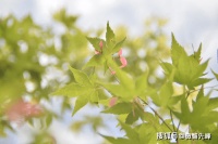 俗话说“家有三不动，越动越没福”，指的是哪三不动？有道理吗？