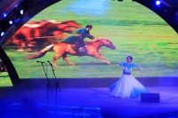 特派员来乡村 | 文化特派团，“引爆”塔后乡村音乐节