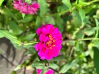 婚后，习惯做以下3件事的女人，往往笑到了最后