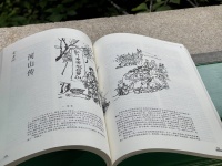 《收获》首发贾平凹新长篇《河山传》：大世界中的小人物