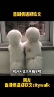 西湖偶遇郑钦文，穿搭好酷啊！