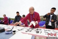 名家名关名城名酒 全国百名书法名家作品萃聚雁门呈上书法盛筵